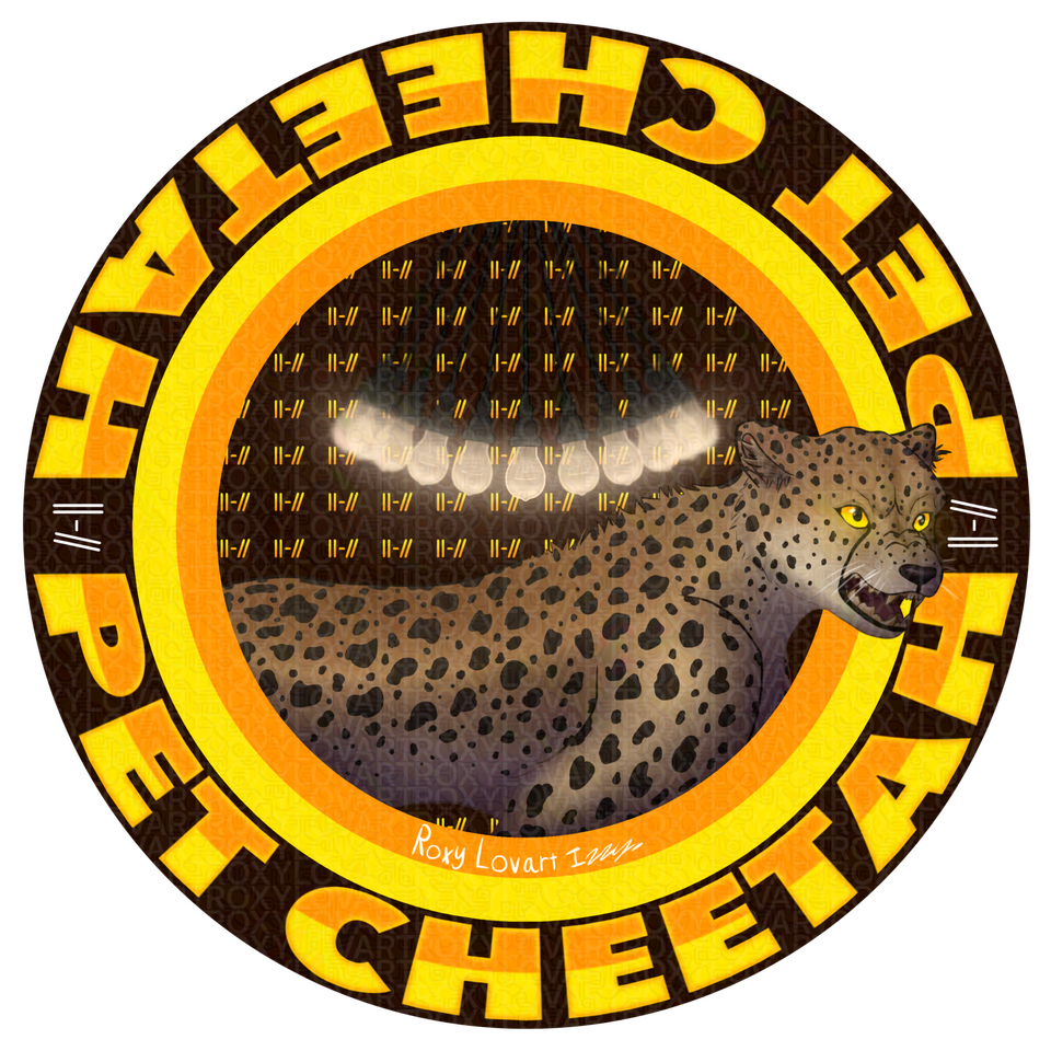 Pet Cheetah